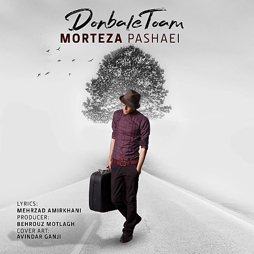 Cover artwork for Donbale Toam by Morteza Pashaei